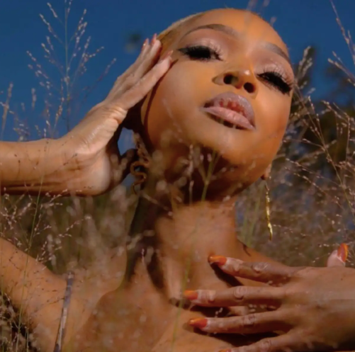 Member 018 - Kali Connections